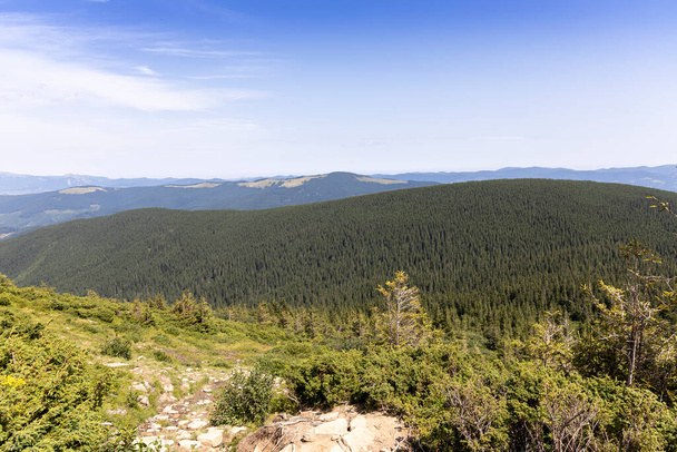 Mountain landscape in Ukrainian Carpathians in summer. - Photo, Image
