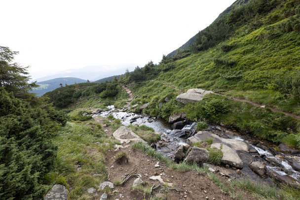 Mountain stream on a summer day in the Ukrainian Carpathians - Foto, imagen