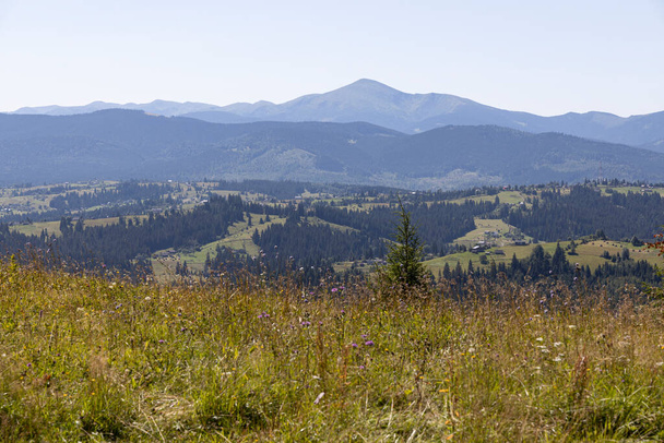 Mountain landscape in Ukrainian Carpathians in summer. - Foto, Imagem