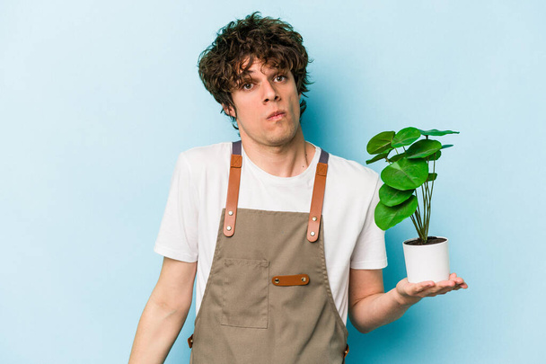 Молодий садівник білий чоловік тримає рослину ізольовану на синьому фоні соломинки на плечах і розгублених очах
. - Фото, зображення