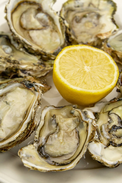 close up of open oysters in a dish with a lemon - Photo, image
