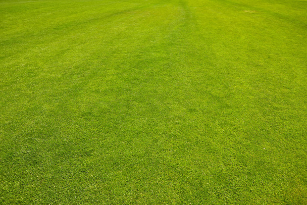 Fondo de textura de hierba verde Vista superior del jardín de hierba brillante Concepto de idea utilizado para hacer el telón de fondo verde, césped para el entrenamiento de campo de fútbol, Hierba campos de golf verde patrón de césped texturizado fondo. - Foto, Imagen