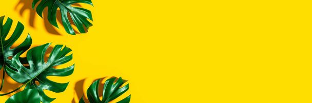 Tropické listy filodendronu na žlutém letním pozadí 3D vykreslování, 3D ilustrace - Fotografie, Obrázek