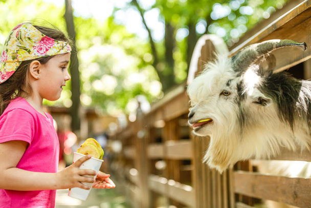 roztomilé malé dítě krmení koza na farmě - Fotografie, Obrázek