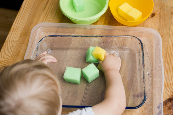 little boy making his first task. brain exercise - select the right color sponges to relevant bowls. - Photo, Image