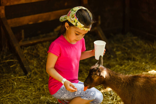 cute little kid feeding a goat at farm - Photo, Image