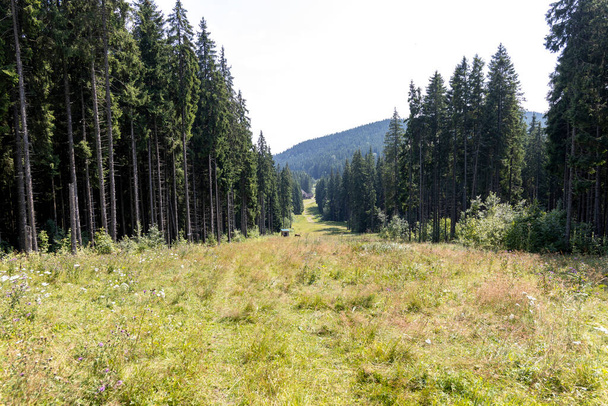 Panorama of mountains in the Ukrainian Carpathians on a summer day. - Zdjęcie, obraz