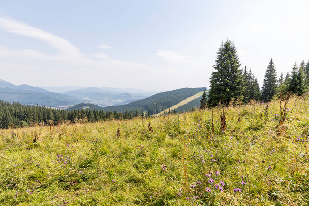Panorama of mountains in the Ukrainian Carpathians on a summer day. - Foto, Imagem