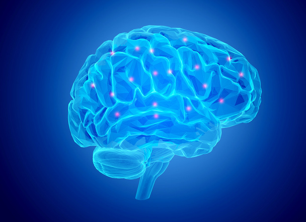 Ihmisen aivotoiminta
 - Valokuva, kuva