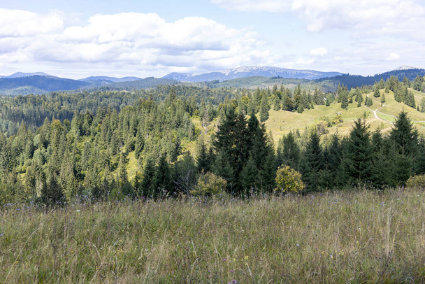 Panorama of mountains in the Ukrainian Carpathians on a summer day. - Fotó, kép
