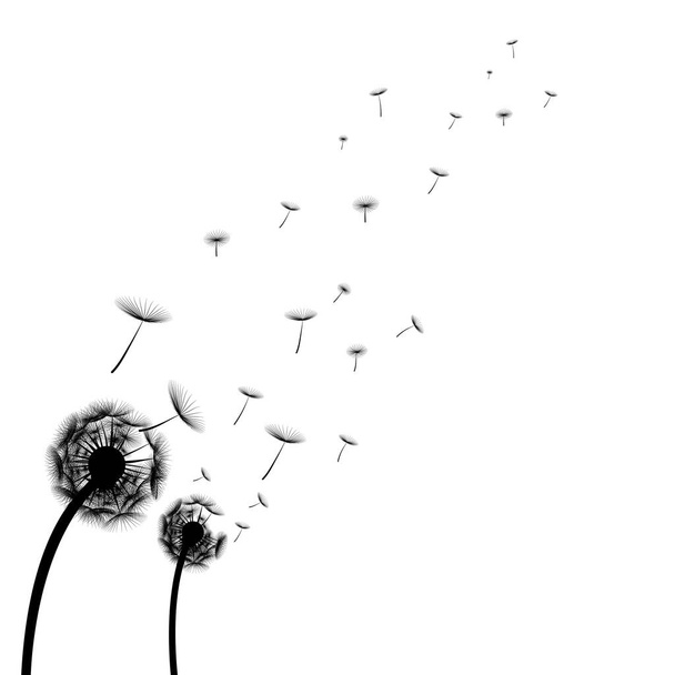Abstract black dandelion, flying seeds of dandelion  for stock vector - Vector, Image