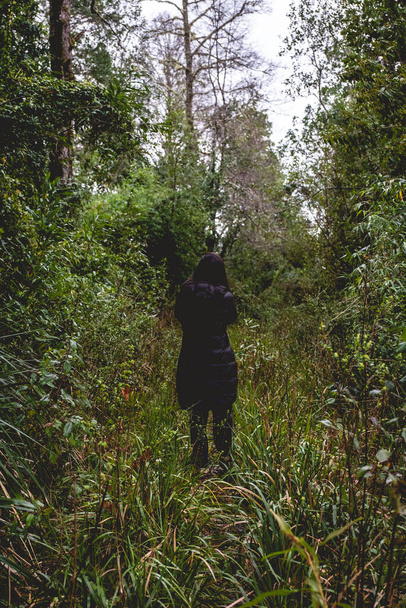 Chica con pelo largo y chaqueta larga negra por detrás entre la naturaleza (plantas verdes, árboles, arbustos, flores, etc) en el bosque, Valdivia, Chile - Foto, Imagen