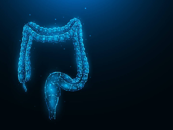 Abstraction polygonal vector illustration of the colon or large intestine on a dark blue background. Digestive system, internal organ low poly design. Medical banner, template or background. - ベクター画像