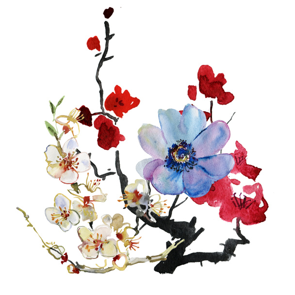 Квіти Garland
 - Фото, зображення