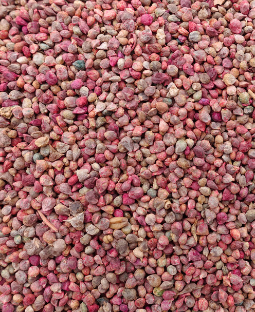 Непаковані насіння гороху, органічні насіння гороху, насіння предків, продані в тканинних мішках в насінництвах
, - Фото, зображення