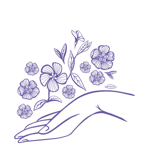 Periwinkle flowers over Womens Arm. Dobré pro Feminine a Eco Friendly Products ilustrace - Vektor, obrázek