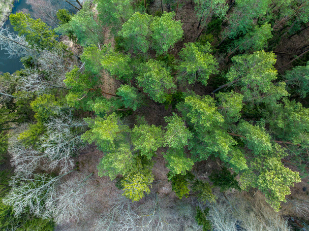 Luchtfoto van het bos in Warmia, Noord-Polen, Europa - Foto, afbeelding