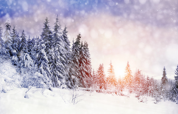 Krajobraz zimowy - Zdjęcie, obraz