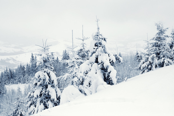 Kış manzarası - Fotoğraf, Görsel
