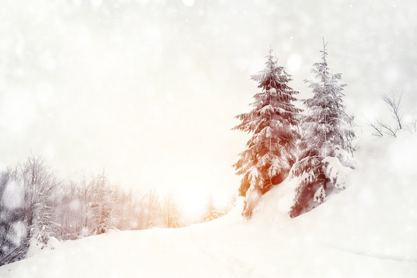 Paisaje invierno - Foto, imagen