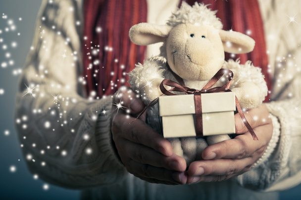 Bárány játék és a karácsonyi ajándék - Fotó, kép