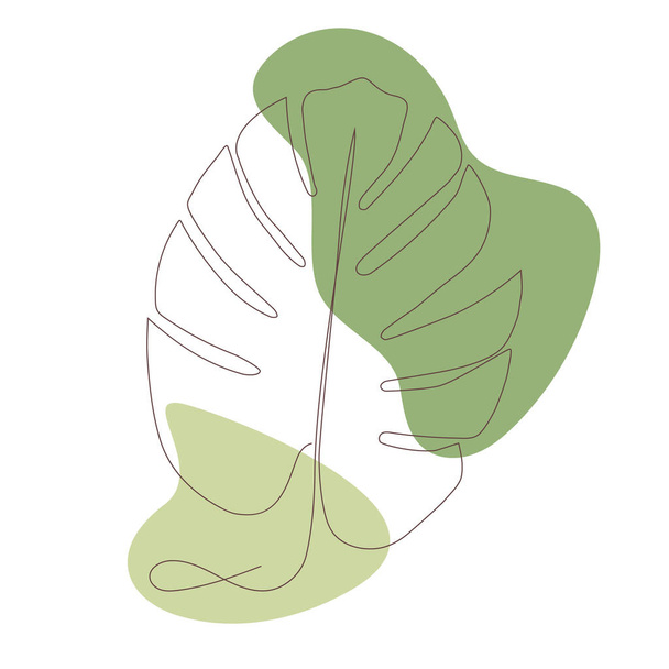 Green leaf. Monstera deliciosa. One line art. - Вектор, зображення