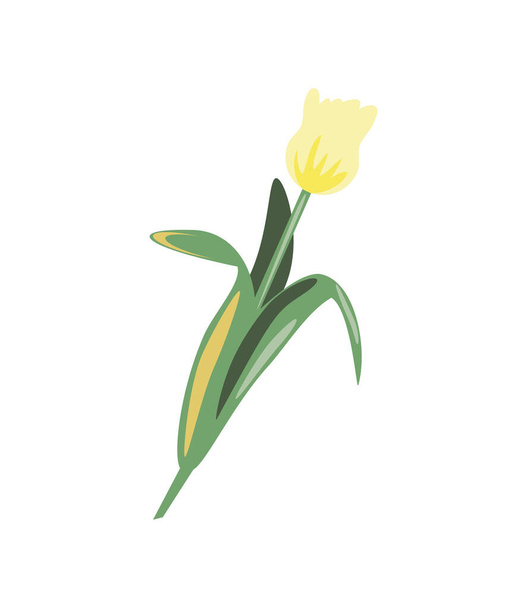 Цветок и лист
 - Вектор,изображение