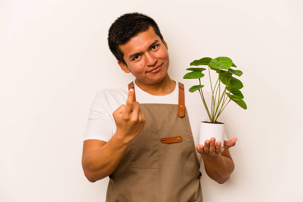 Joven jardinero hispano sosteniendo una planta aislada sobre fondo blanco señalándote con el dedo como si invitaras a acercarte. - Foto, Imagen