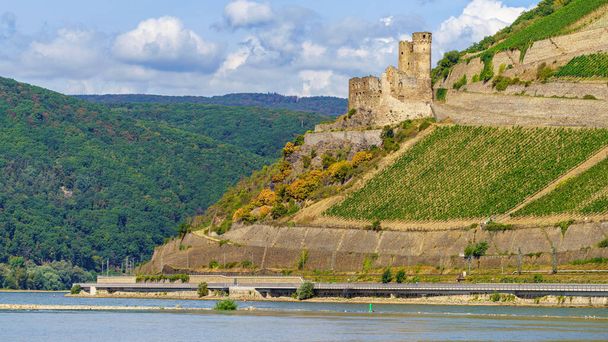 Ruedesheim, Hesse, Germany - August 19, 2020: View at Castle Ehrenfels and the surrounding vineyards - Фото, зображення