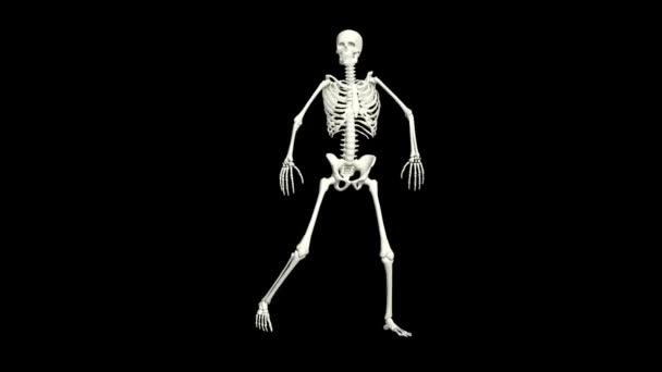 Dancing Skeleton 3D.3D Skeleton Dance Animation.Skeleton 3D dance.  - Felvétel, videó
