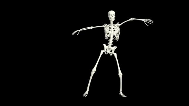 Dancing Skeleton 3D.3D Skeleton Dance Animation.Skeleton 3D dance.  - Footage, Video