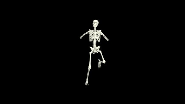 Tanssiva luuranko 3D.3D luuranko tanssi animation.Skeleton 3D tanssi.  - Materiaali, video