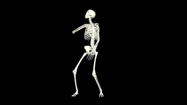 Dancing Skeleton 3D.3D Skeleton Dance Animation.Skeleton 3D dance.  - Felvétel, videó
