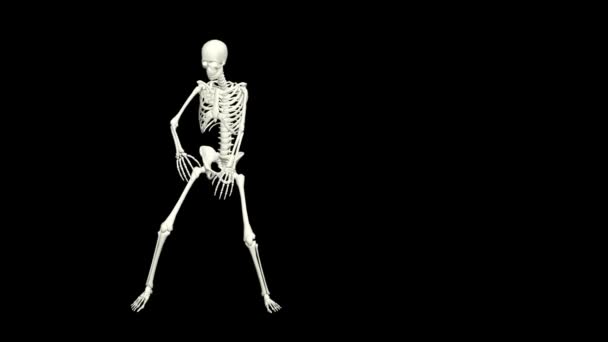 Dancing Skelet 3D.3D Skelet Dance Animation.Skelet 3D dans.  - Video