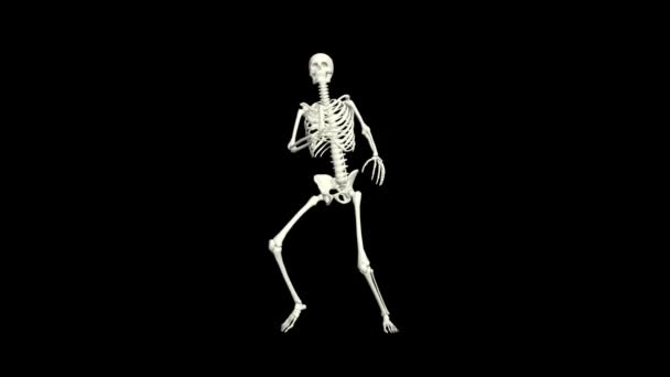 Dancing Skeleton 3D.3D Skeleton Dance Animation.Skeleton 3D dance.  - 映像、動画