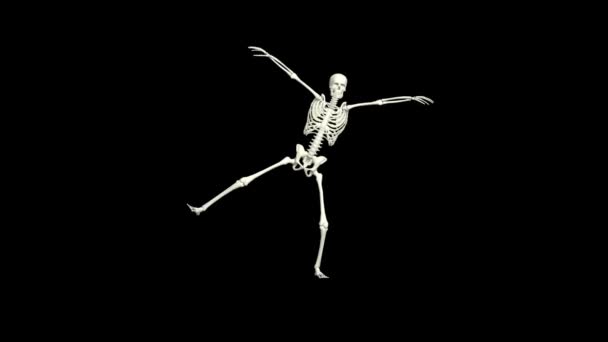 Tanssiva luuranko 3D.3D luuranko tanssi animation.Skeleton 3D tanssi.  - Materiaali, video