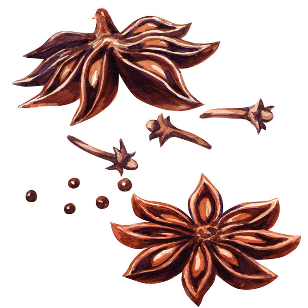 Anise star and cloves isolated - Photo, Image