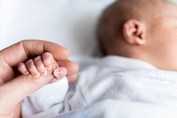 hand of a father holding the small hand of his newborn daughter in the maternity hospital. family concept, baby care and maternal and paternal love - Foto, Bild