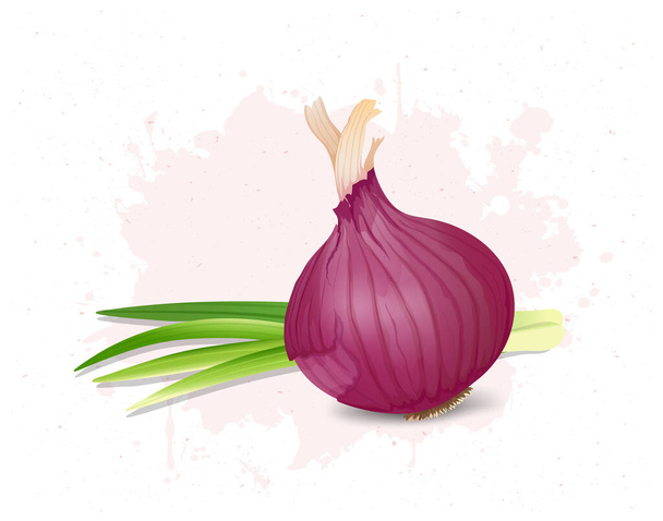 Onion vector illustration with onion green leaves - Vector, afbeelding