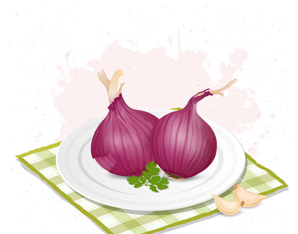 Set of two Onions root vegetable vector illustration with coriander leaves and garlic cloves - Vector, Image