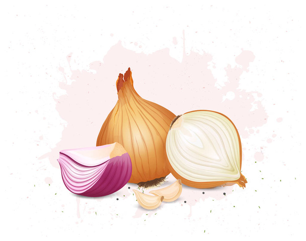 Yellow and Red Onion with Garlic cloves vector illustration - Vector, Image