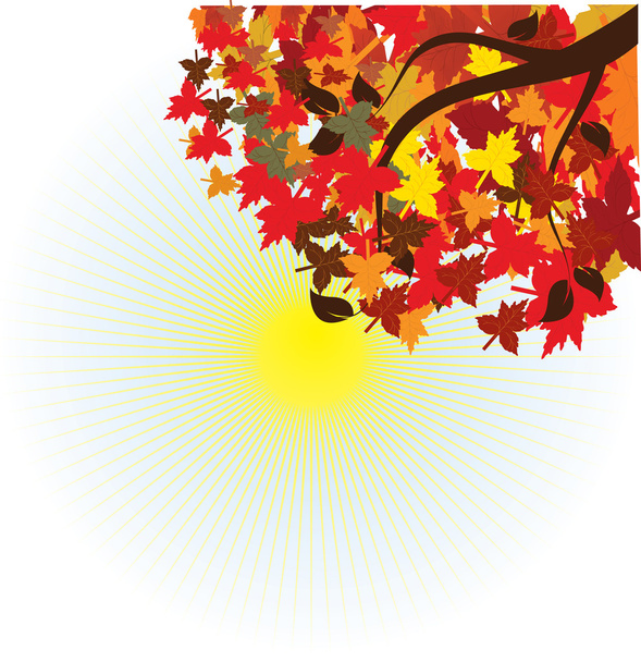 Hojas de arce de otoño - Vector, Imagen