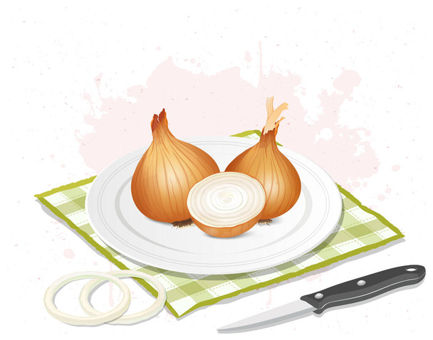 Yello Cebolla Raíz vegetal vector ilustración con medio pedazo de cebolla aislada sobre fondo blanco - Vector, imagen