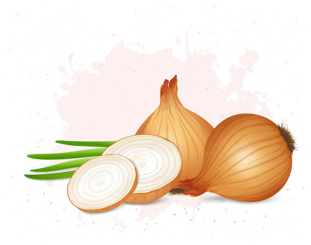 Onion Vegetable vector illustration with onion slices and green stem - Vektör, Görsel