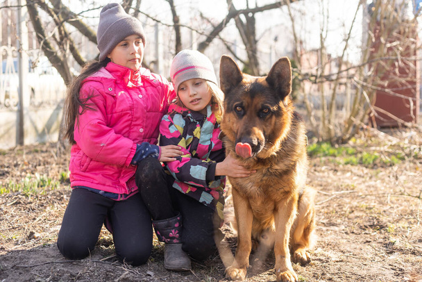 kids running with their pet German shepherd puppy in the park - Photo, Image