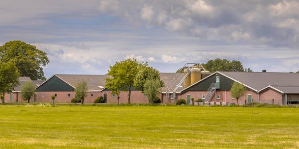 曇った夏の空の下でオランダの農業風景の中にサイロを持つ農場の近代的な納屋。オランダのツワレ. - 写真・画像