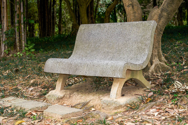 Close-up of a stone bench in a forest park - 写真・画像