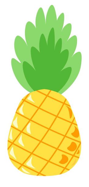 Pineapple tasty tropical and exotic fruit leaf - Вектор, зображення