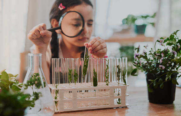 Shes got good analysis skills. Cropped shot of an adorable little girl looking through a magnifying glass while analysing plants from a test tube at home. - Photo, Image