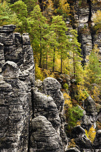 Picturesque autumn scenery of Elbe Sandstone mountains, Saxon Switzerland National Park near Dresden, Germany - Φωτογραφία, εικόνα